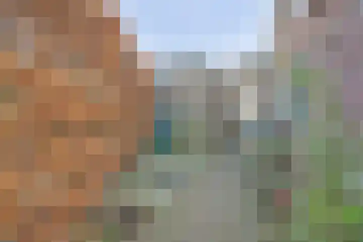 Brinkersweg 33 Nunspeet thumbnail 27