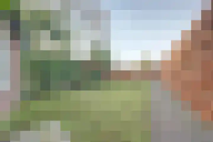 Brinkersweg 33 Nunspeet thumbnail 30
