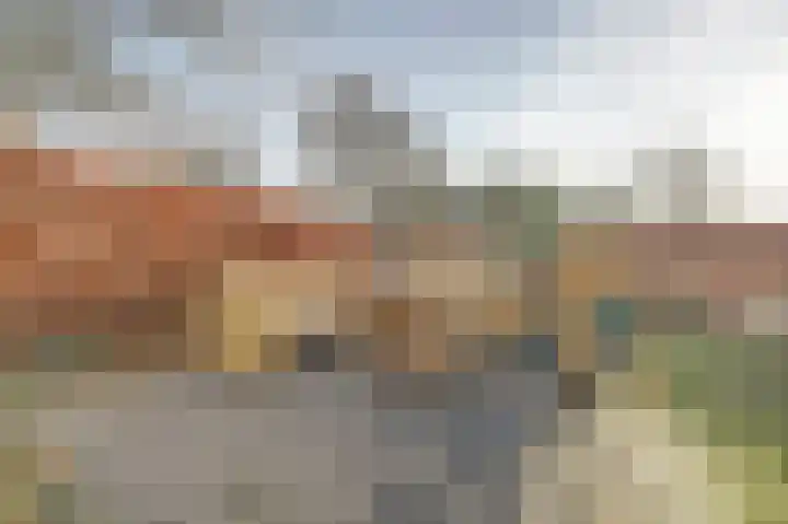 Brinkersweg 33 Nunspeet thumbnail 32