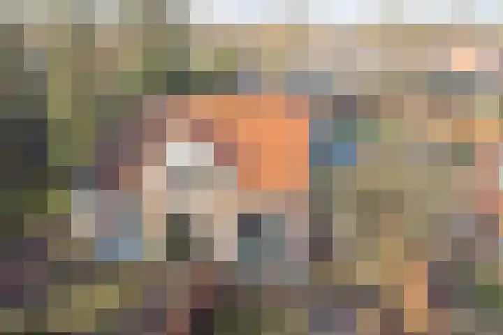 Brinkersweg 33 Nunspeet thumbnail 33