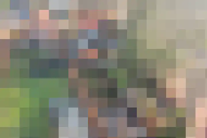 Brinkersweg 33 Nunspeet thumbnail 34