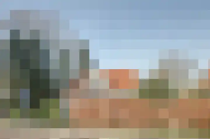 Brinkersweg 33 Nunspeet thumbnail 35