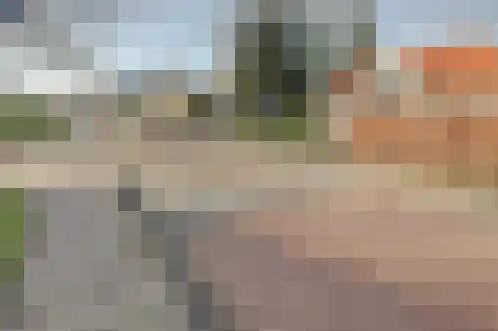 Brinkersweg 33 Nunspeet thumbnail 37