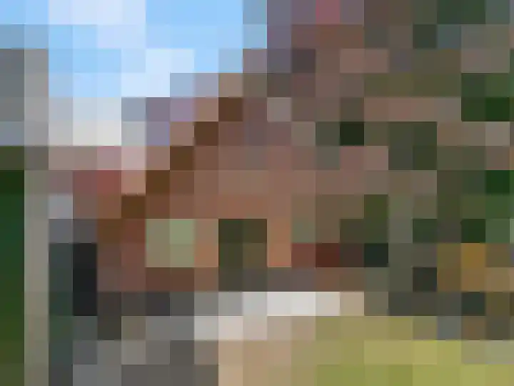 Brinkerweg 3 Kootwijkerbroek thumbnail 29