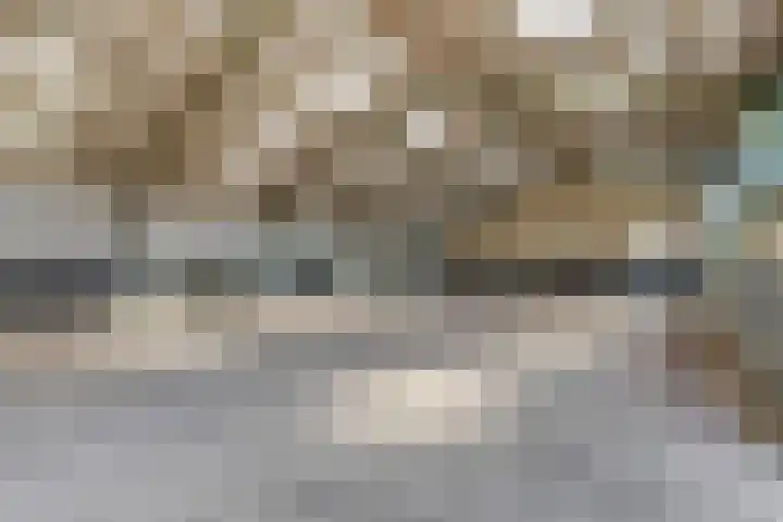 Brinkerweg 3 Kootwijkerbroek thumbnail 39
