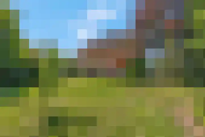 Brinkerweg 3 Kootwijkerbroek thumbnail 4
