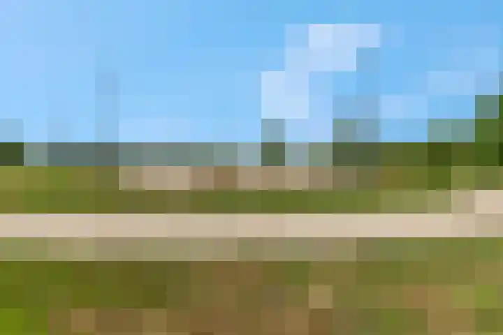 Brinkerweg 3 Kootwijkerbroek thumbnail 40
