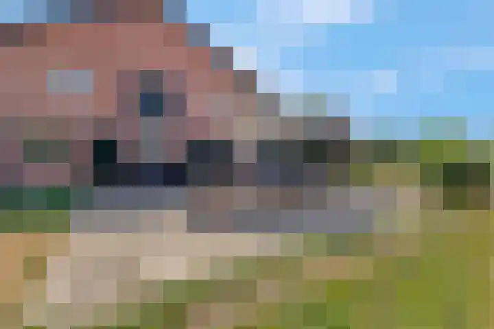 Brinkerweg 3 Kootwijkerbroek thumbnail 41