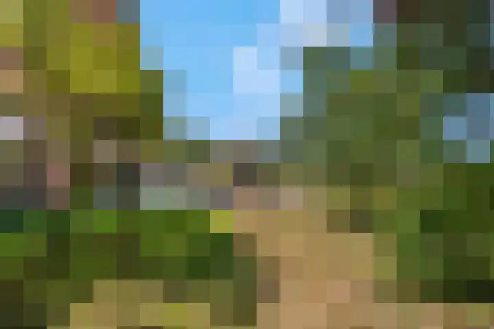 Brinkerweg 3 Kootwijkerbroek thumbnail 42