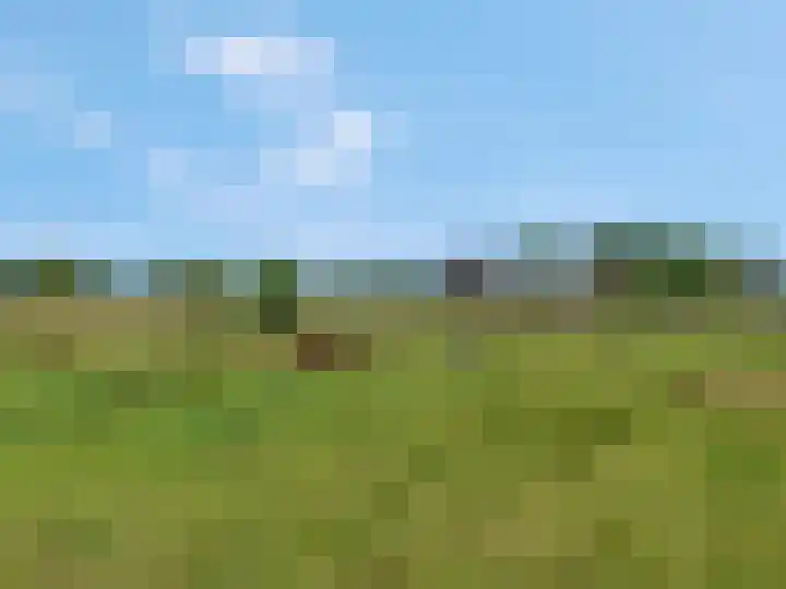 Brinkerweg 3 Kootwijkerbroek thumbnail 43