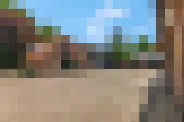 Brinkerweg 3 Kootwijkerbroek thumbnail 6