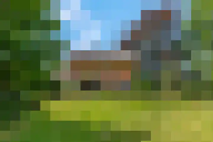 Brinkerweg 3 Kootwijkerbroek thumbnail 8