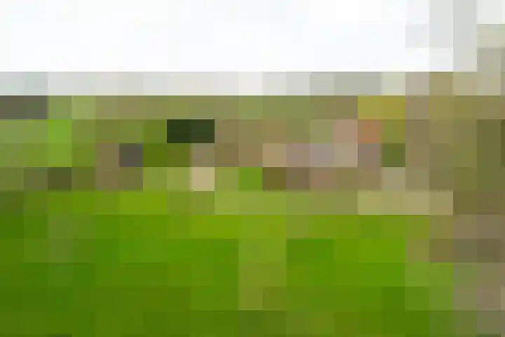 Brinkeweg 28 Winterswijk Miste thumbnail 4