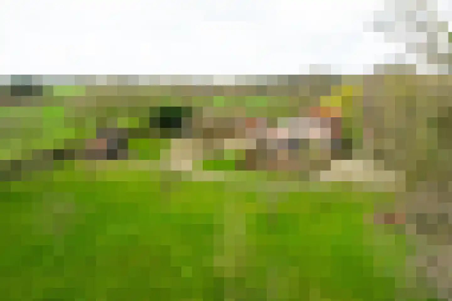 Brinkeweg 28 Winterswijk Miste thumbnail 4