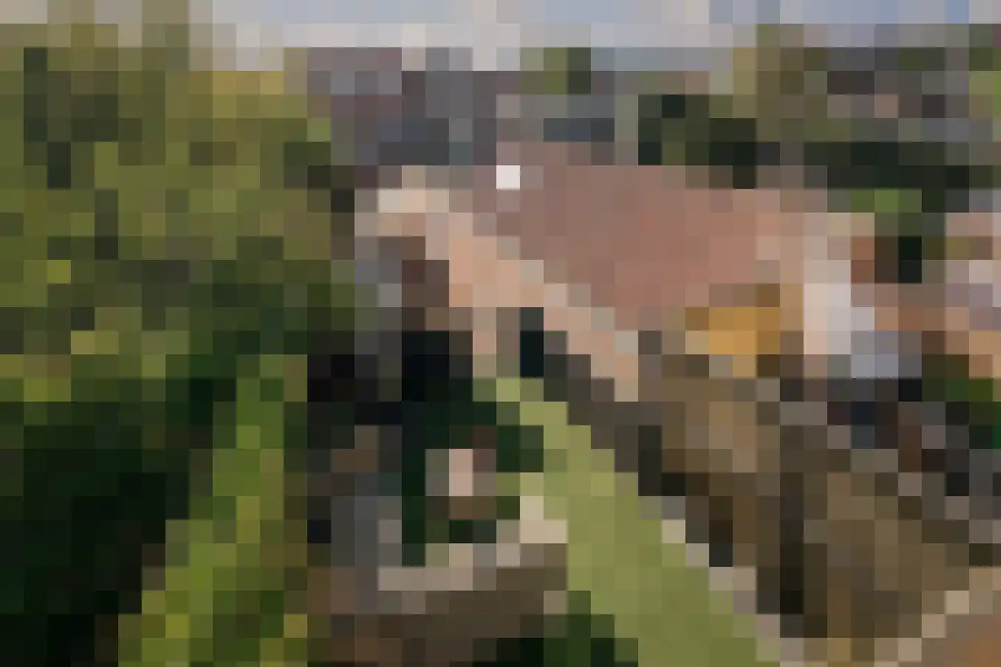 Brinkgreverweg 112 E Deventer thumbnail 16