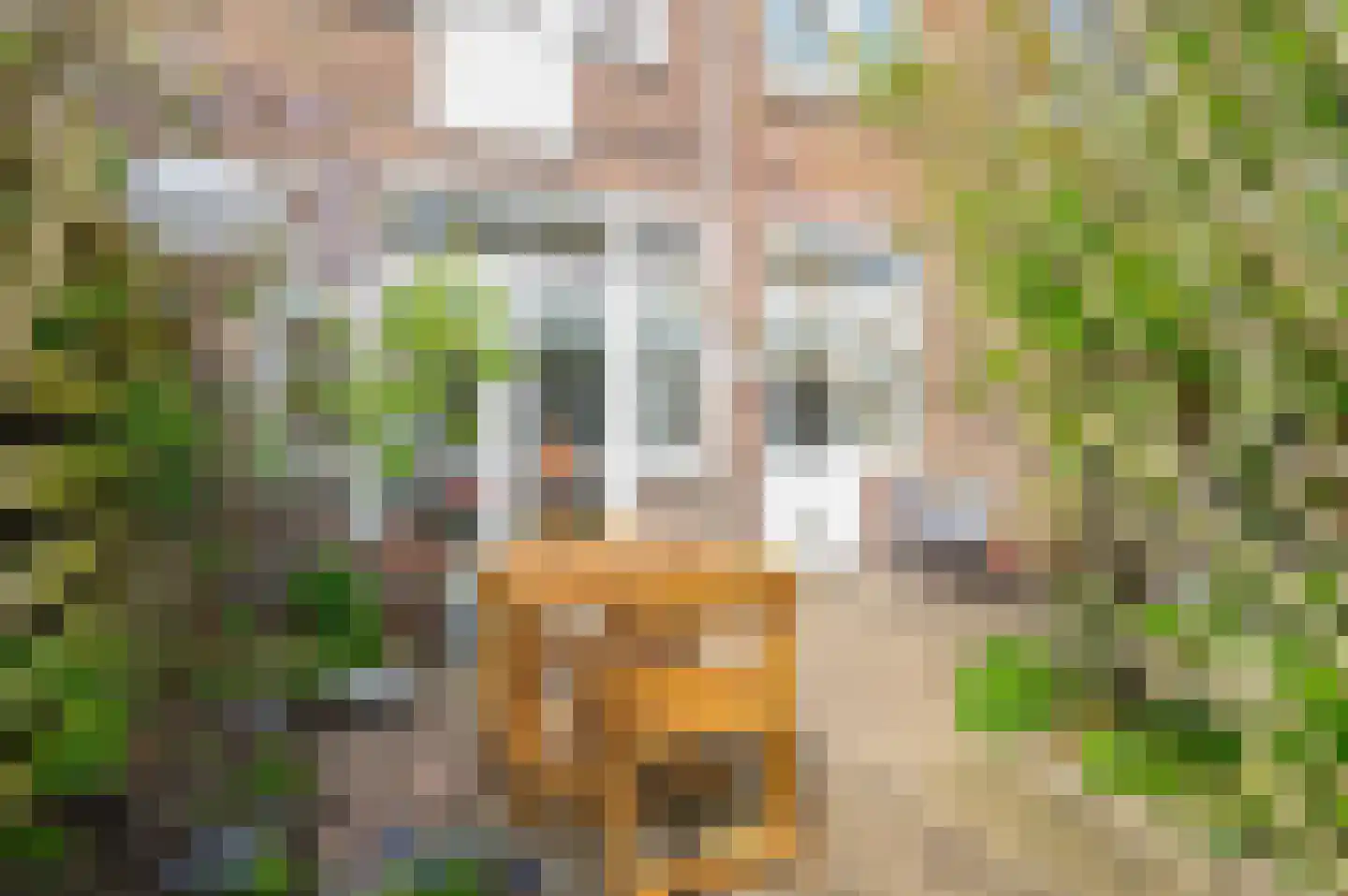 Brinkgreverweg 120 Deventer thumbnail 24