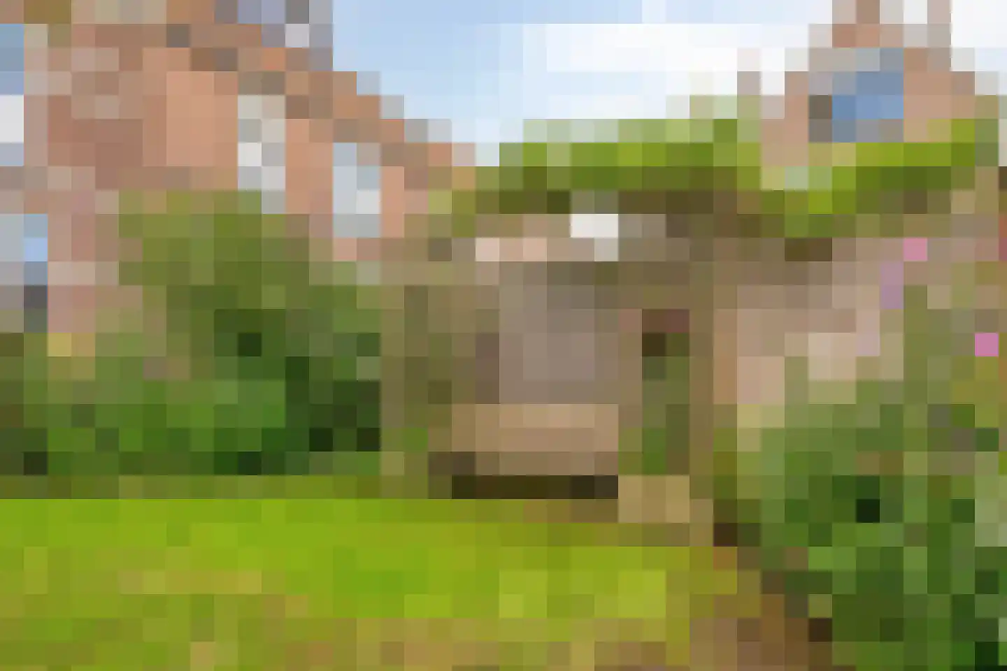 Brinkgreverweg 29 Deventer thumbnail 39