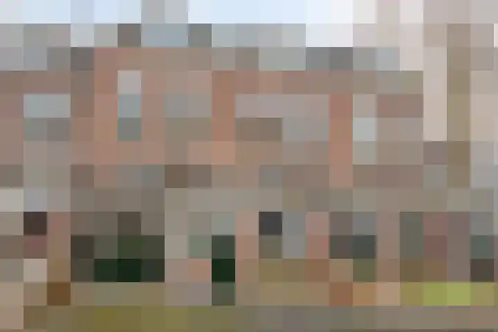 Brinkgreverweg 45 B Deventer thumbnail 8