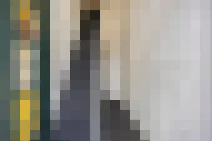 Brinkgreverweg 45 Deventer thumbnail 6
