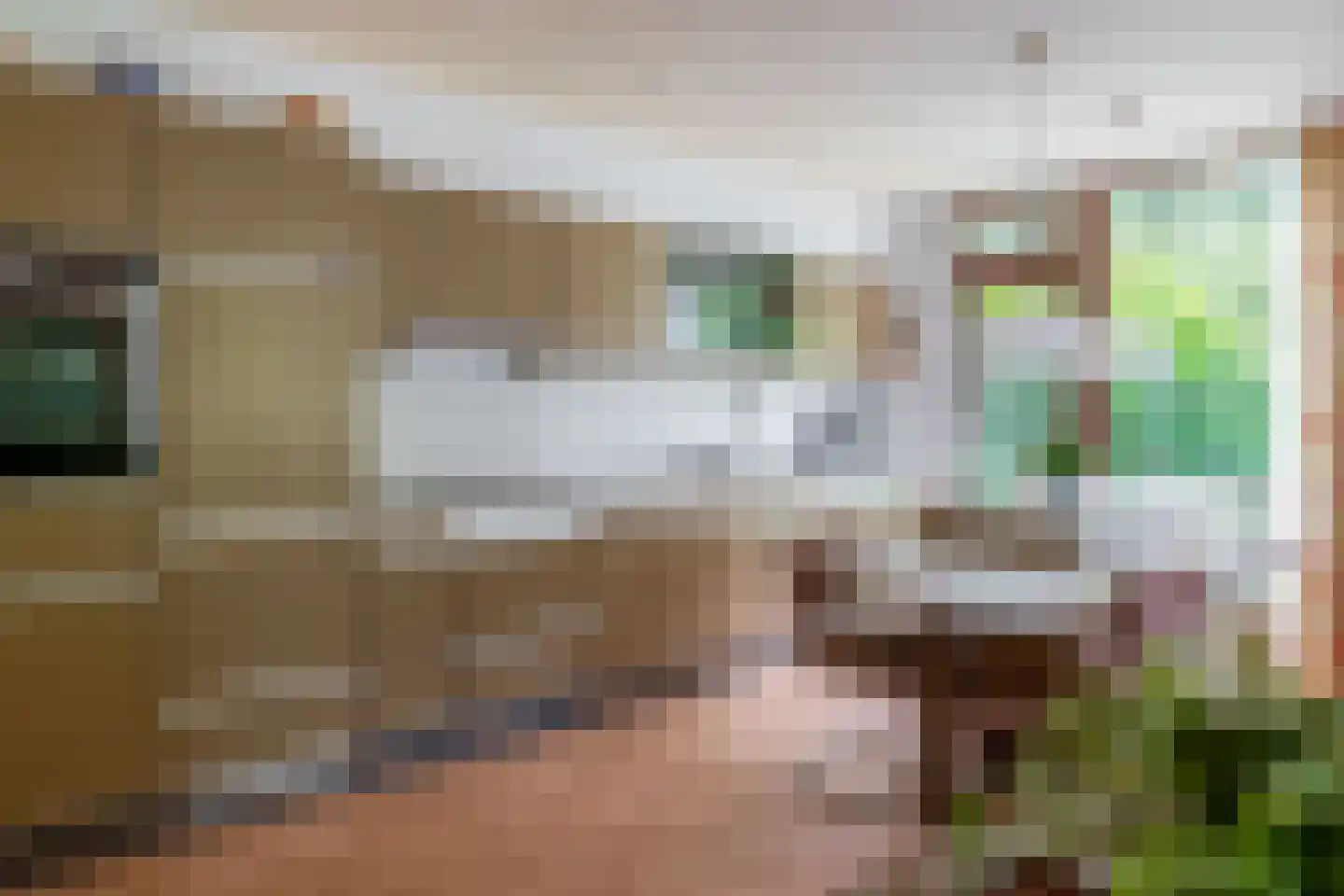 Brinkheide 32 Rotterdam thumbnail 23