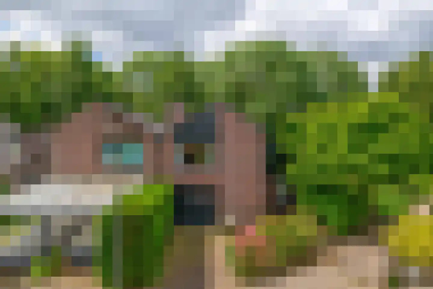 Brinkheide 32 Rotterdam thumbnail 8
