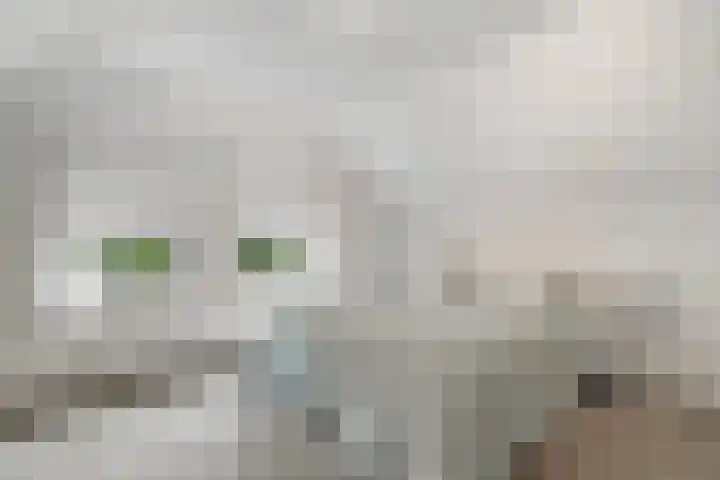 Brinkhoekweg 57 Zwolle thumbnail 38