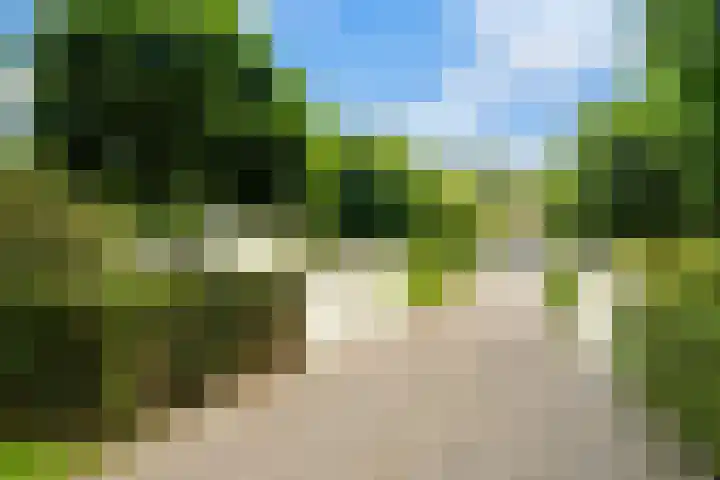 Brinkhoekweg 57 Zwolle thumbnail 4