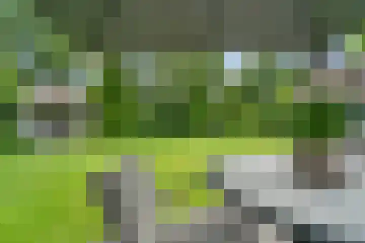 Brinkhoekweg 57 Zwolle thumbnail 58