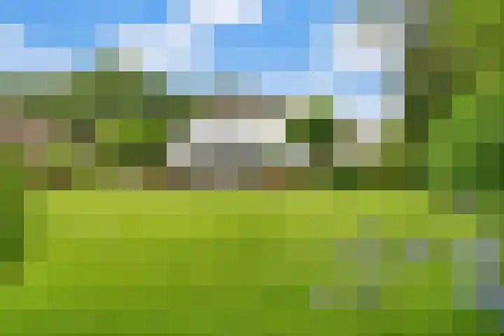 Brinkhoekweg 57 Zwolle thumbnail 6