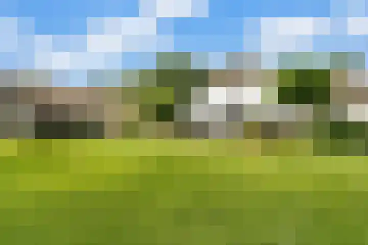 Brinkhoekweg 57 Zwolle thumbnail 7