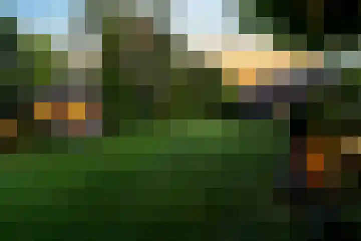 Brinkhoekweg 57 Zwolle thumbnail 71