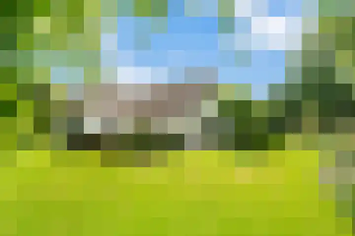Brinkhoekweg 57 Zwolle thumbnail 8