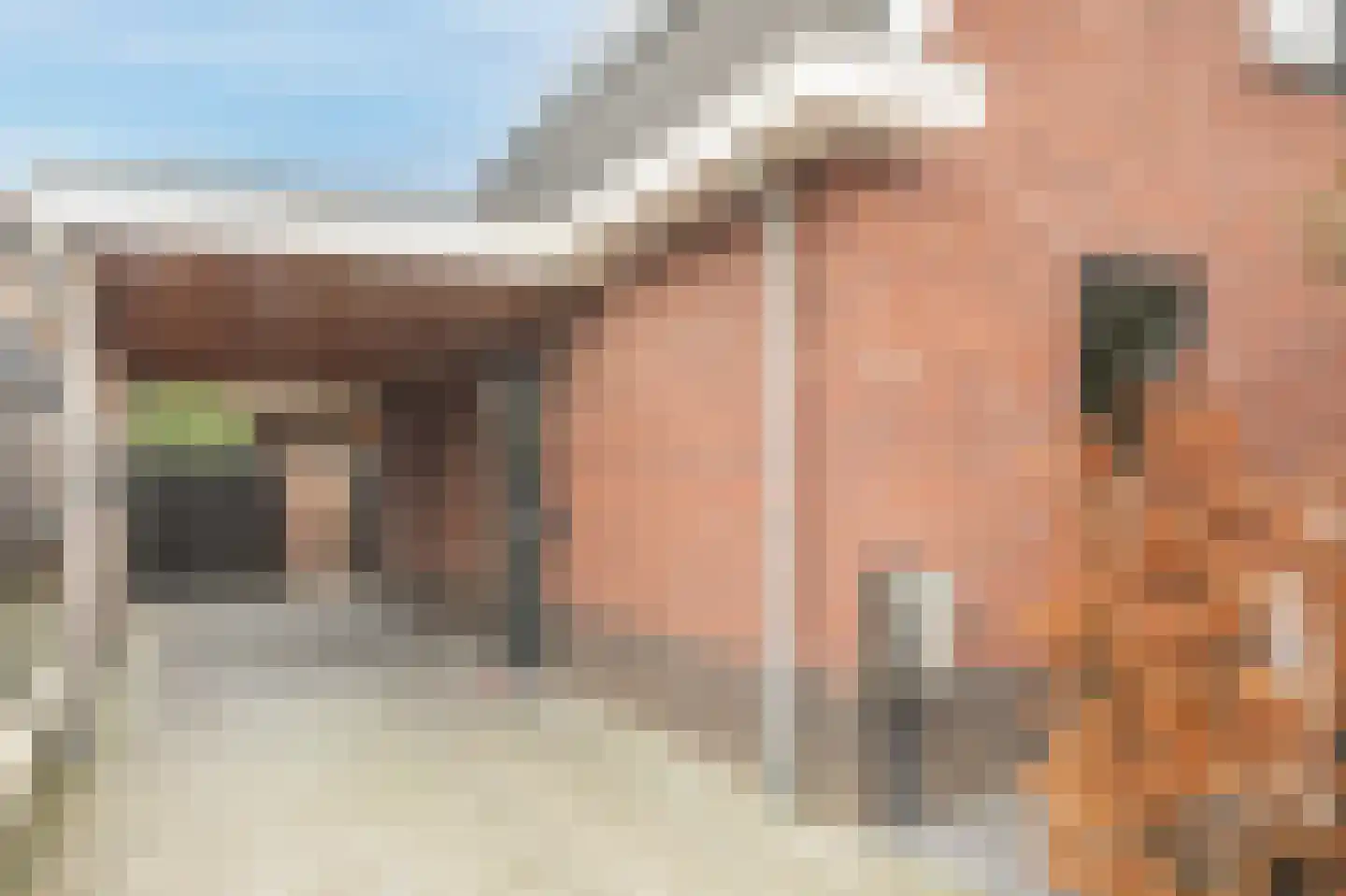 Brinkhof 12 Nooitgedacht thumbnail 10