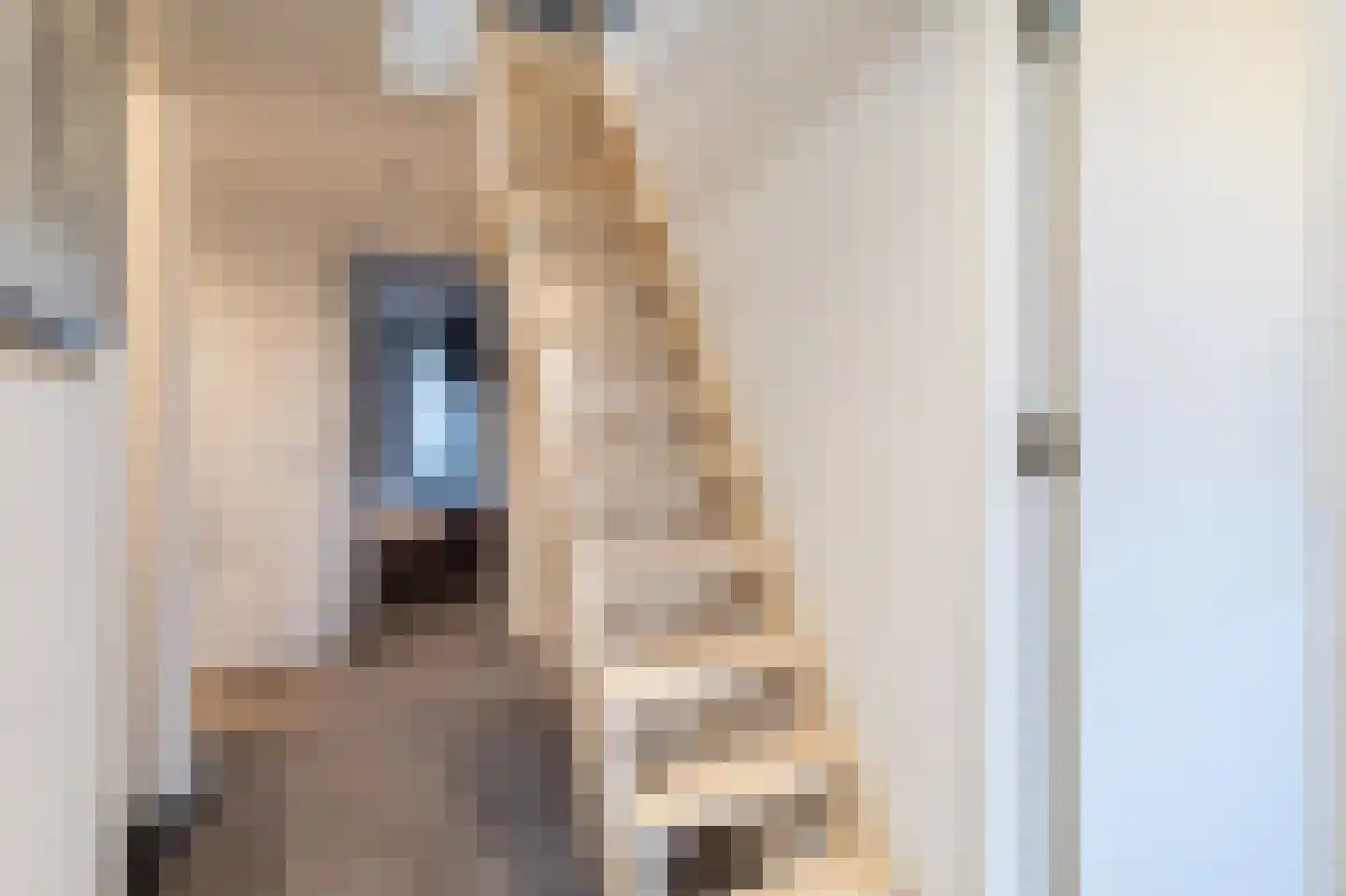Brinkhof 12 Nooitgedacht thumbnail 44