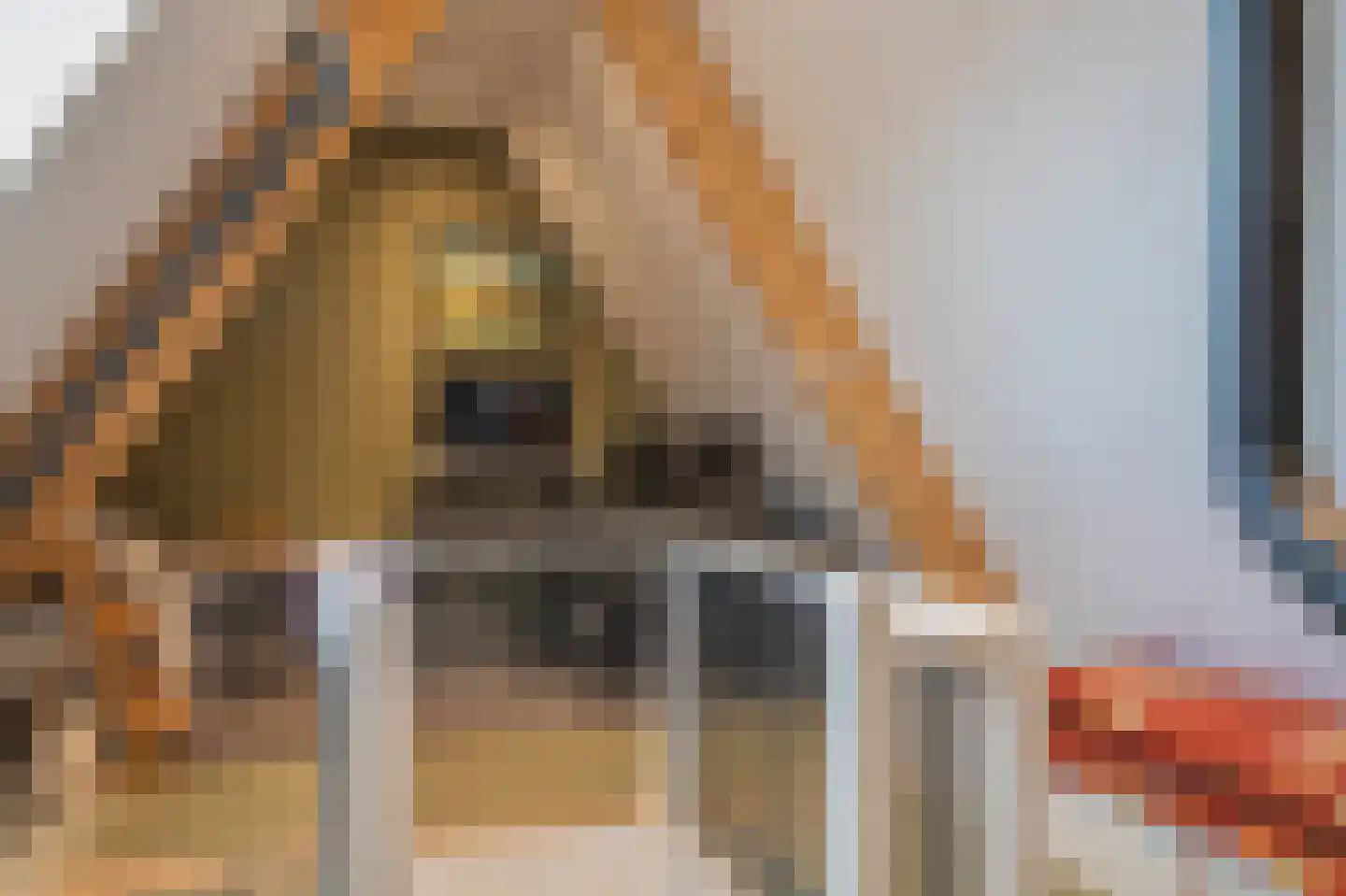 Brinkhof 12 Nooitgedacht thumbnail 45