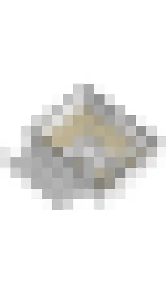 Brinkhof 12 Nooitgedacht thumbnail 53