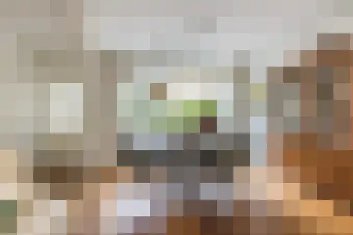 Brinkhorst 17 Leusden thumbnail 12