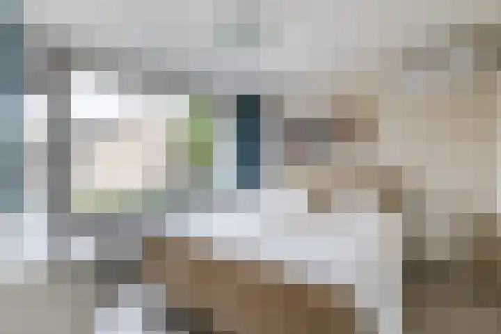 Brinkhorst 17 Leusden thumbnail 18