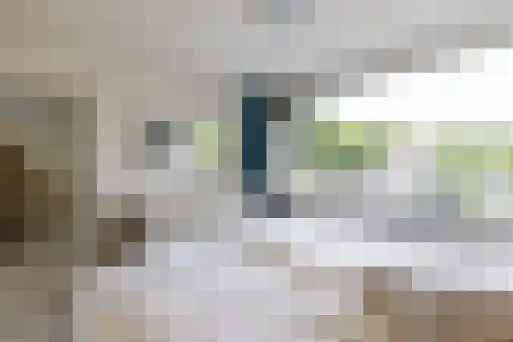 Brinkhorst 17 Leusden thumbnail 19