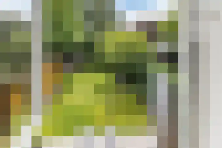 Brinkhorst 17 Leusden thumbnail 23