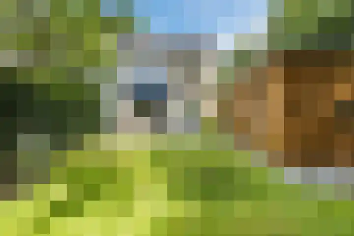 Brinkhorst 17 Leusden thumbnail 32
