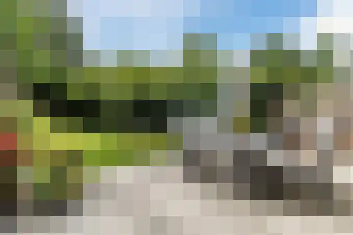 Brinkhorst 17 Leusden thumbnail 33