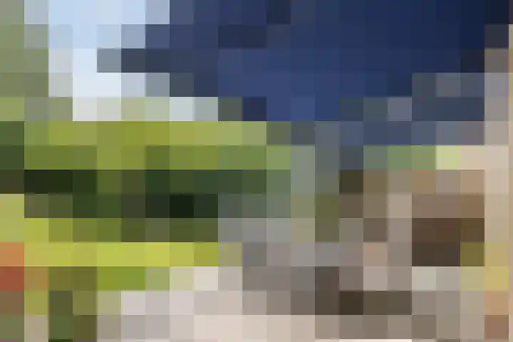 Brinkhorst 17 Leusden thumbnail 34