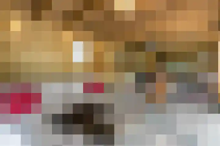 Brinkhorst 17 Leusden thumbnail 37
