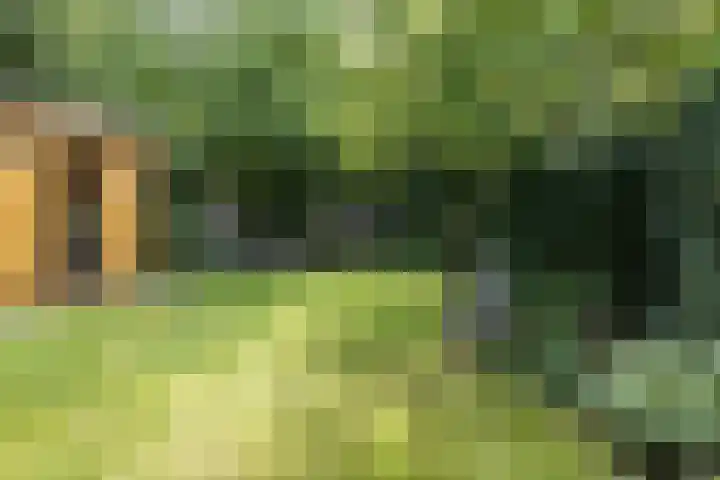 Brinkhorst 17 Leusden thumbnail 39