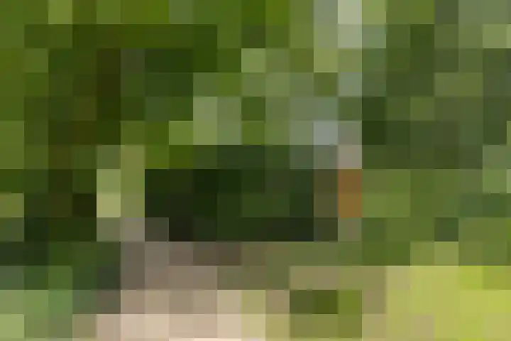 Brinkhorst 17 Leusden thumbnail 43