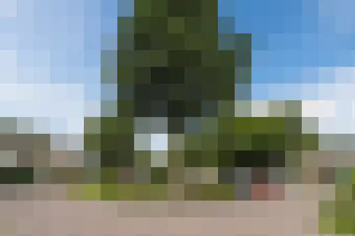 Brinkhorst 17 Leusden thumbnail 48