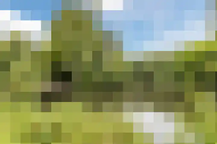 Brinkhorst 17 Leusden thumbnail 50