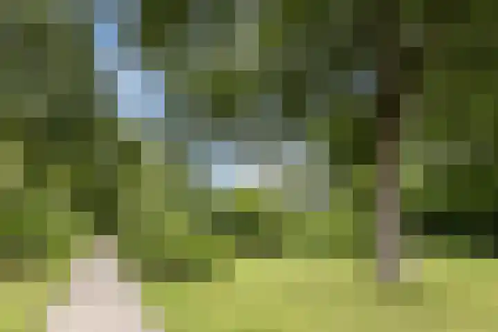 Brinkhorst 17 Leusden thumbnail 51