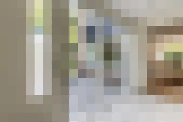 Brinkhorst 17 Leusden thumbnail 7